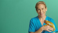 «Dr K's Exotic Animal ER (2014)» — обои к сериалу #5