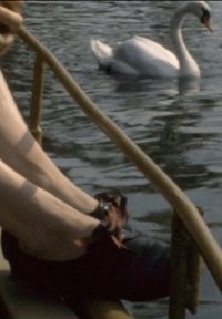 Imagem do Filme Wörlitz