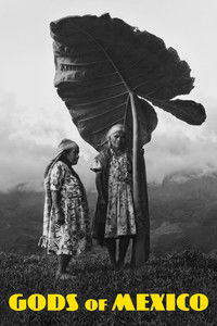 Affiche de la recommandation : Gods of Mexico
