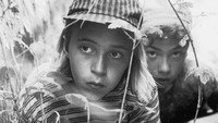 «Die Spur der roten Fässer (1996)» — обои к фильму #1