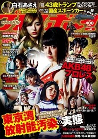 豆腐プロレス (2017)