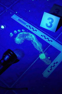 Постер сериала «Forensic Files (1996 - 2011)» — (1 из 3)