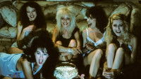 Linnea Quigley's Horror Workout