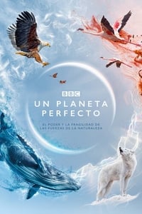 Poster de A Perfect Planet