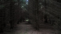 «Мрачное царство (2000)» — обои к сериалу #1