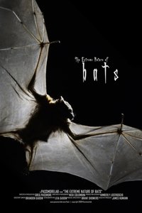 Bats