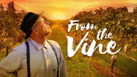«From the Vine (2019)» — обои к фильму #4