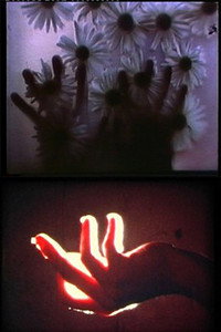 Постер фильма «Rouges Silences (1979)» — (3 из 5)