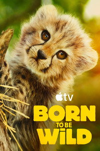 Постер сериала «Возвращение в дикую природу (2025)» — (3 из 17)