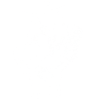 Northern Sheep Cinema