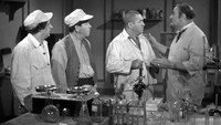 «Безмозглые (1946)» — обои к фильму #1