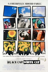 Постер фильма «Черная кошка, белый кот (1998)» — (5 из 16)