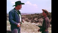 «The Sundowners (1950)» — обои к фильму #2