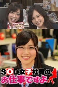 SOD女子社員のお仕事ですよ (2011)