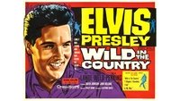 Wild in the Country