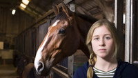 «De Vloek van Manege Pegasus (2016)» — обои к сериалу #2