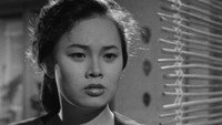 «После комендантского часа (1954)» — обои к фильму #5