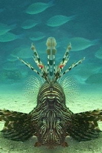 Постер к фильму Careless Reef (2004)