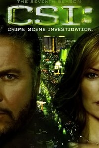 CSI: Crime Scene Investigation - Season 7