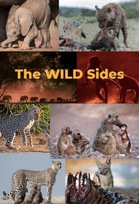 copertina serie tv The+Wild+Sides 2023