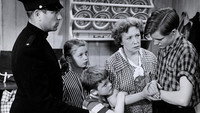 «Беспокойный дом (1954)» — обои к фильму #1
