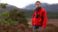 Scotland's Trees