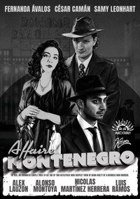 The Montenegro Affair