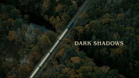 Dark Shadows