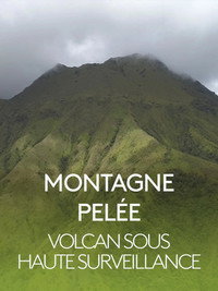 Montagne Pelée, volcan sous haute surveillance (2019) poster