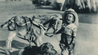 «Fast Company (1924)» — обои к фильму #1