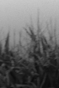 The Scythe