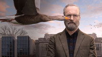 «Счастливчик Хэнк (2023)» — обои к сериалу #4