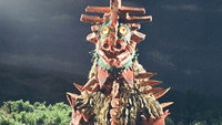 Look! A Giant Transformation in the Middle of the Night