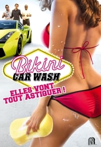 Bikini Car Wash (2015)