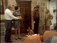 Gloria Discovers Women's Lib