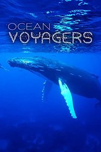 Poster de Ocean Voyagers