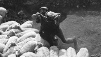 «Бандиты из Оргозоло (1961)» — обои к фильму #1