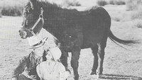 «In Old Cheyenne (1931)» — обои к фильму #1