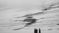 «Птичья песня (2008)» — обои к фильму #7