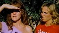 «Код «Бимини» (1983)» — обои к фильму #2