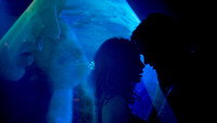 «Jours sauvages (2021)» — обои к фильму #3