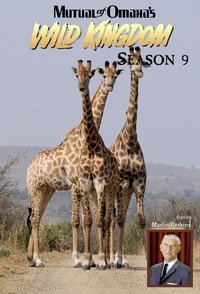 Season 9 Poster