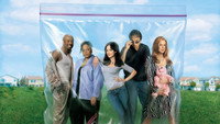 Обои к сериалу «Дурман (2005 - 2012)» — (22 из 45)