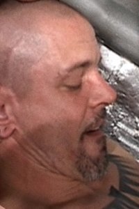 Imagem de Steve Gregor