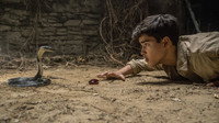 «Икбал и индийская жемчужина (2018)» — обои к фильму #1