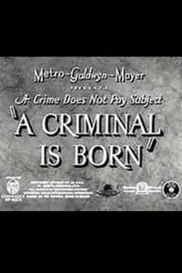 A Criminal Is Born (1938)