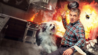 «Человек против пчелы (2022)» — обои к сериалу #1
