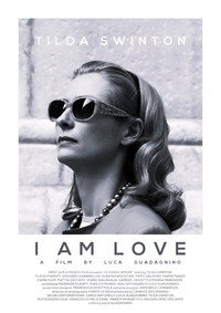 Постер фильма «Я – это любовь (2009)» — (12 из 27)