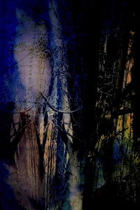 A brief walk (2024) poster