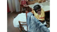 «Украли зебру (1972)» — обои к фильму #2